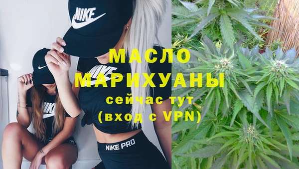 молекула духа Ладушкин