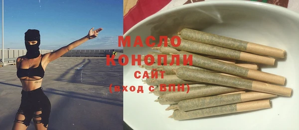 молекула духа Ладушкин