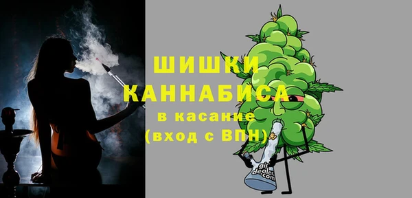 молекула духа Ладушкин