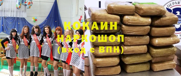 молекула духа Ладушкин