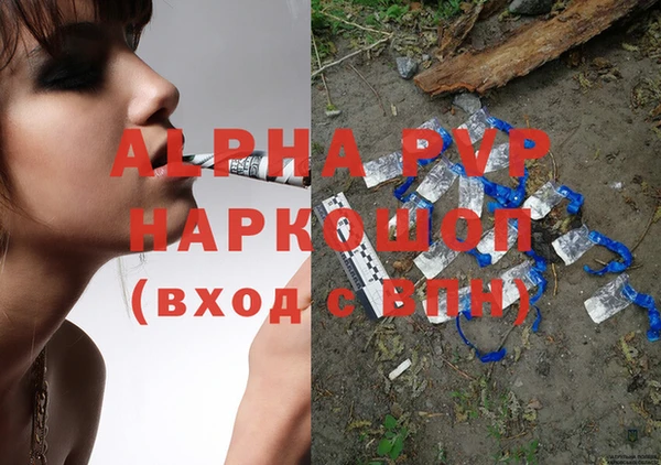 молекула духа Ладушкин