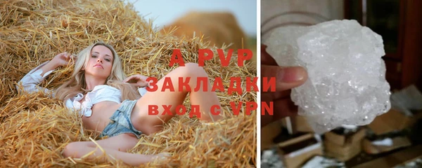 молекула духа Ладушкин