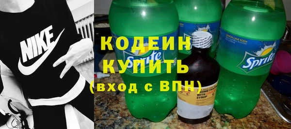 молекула духа Ладушкин